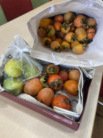 家主さんから柿をもらいました！